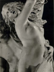 Apollo and Daphne by Bernini